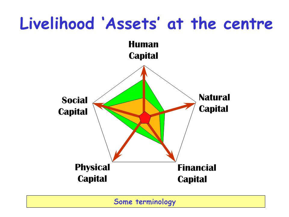 Human Capital Natural Capital Physical Capital Social Capital Financial Capital Some terminology Livelihood ‘Assets’ at the centre