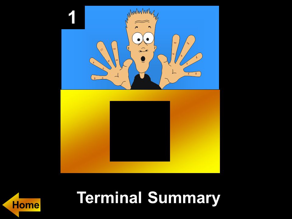 1 Terminal Summary Home