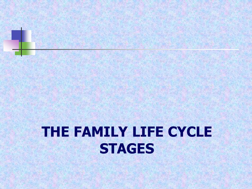 THE FAMILY LIFE CYCLE STAGES
