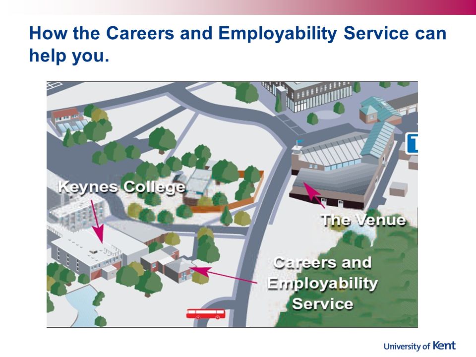 How the Careers and Employability Service can help you.