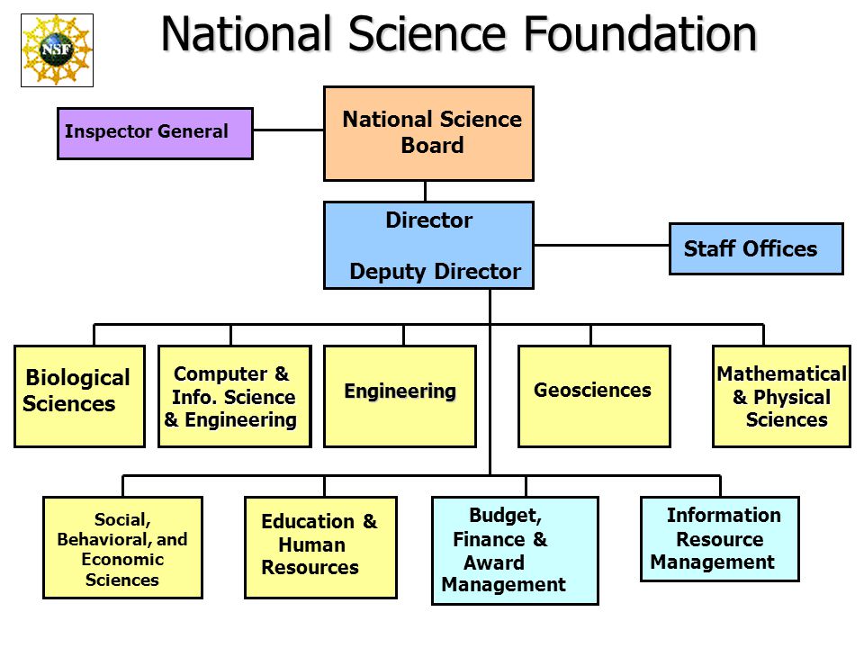 Social, Behavioral, and Economic Sciences National Science Foundation Inspector General National Science Board Director Deputy Director Staff Offices Computer & Info.
