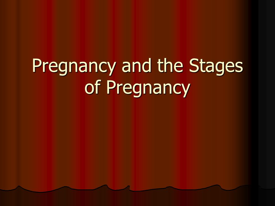Pregnancy and the Stages of Pregnancy