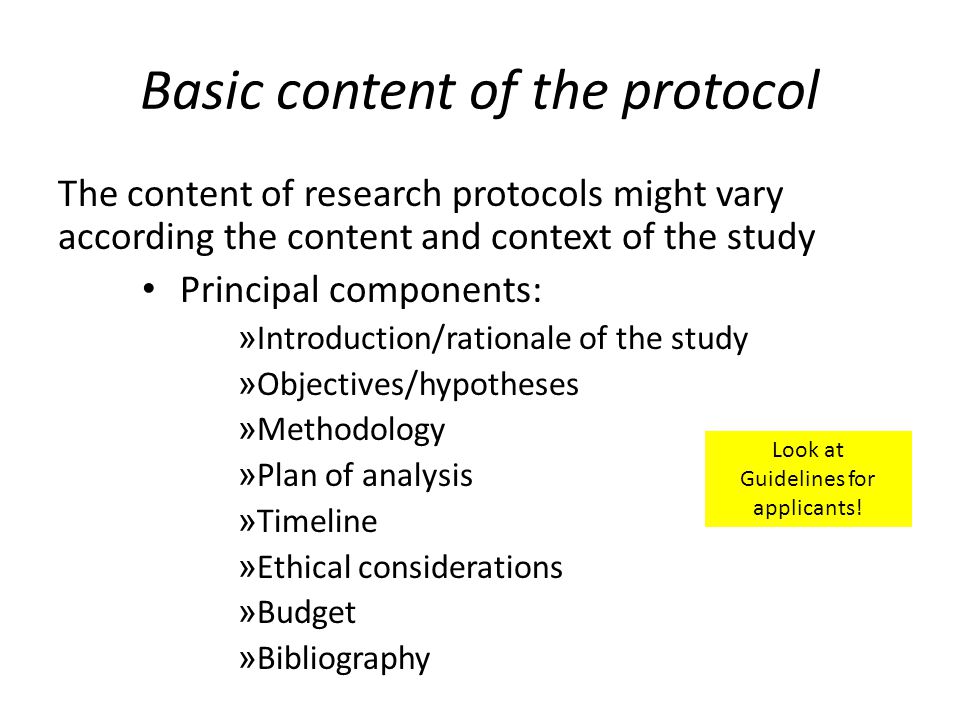 Components Of An Essay