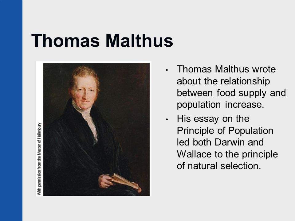 a history of thomas robert malthus and his an essay on the principle of population Malthus' essay on the principle of population the debate between malthus and his contemporaries thomas robert malthus completed his famous history of. a history of thomas robert malthus and his an essay on the principle of population Malthus' essay on the principle of population the debate between malthus and his contemporaries thomas robert malthus completed his famous history of.
