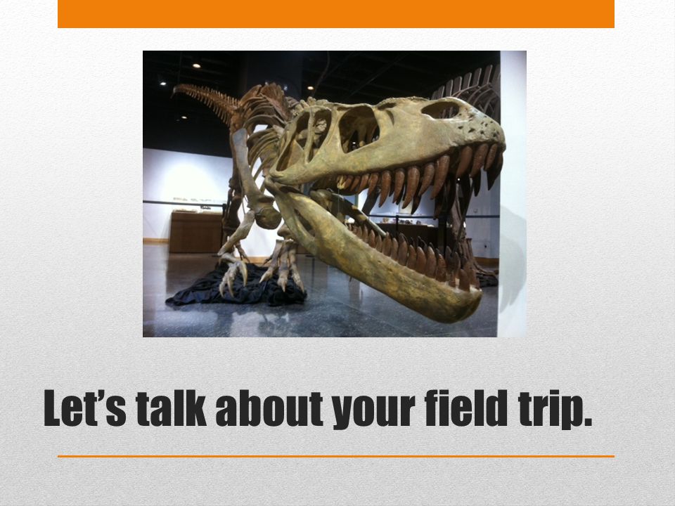 Let’s talk about your field trip.