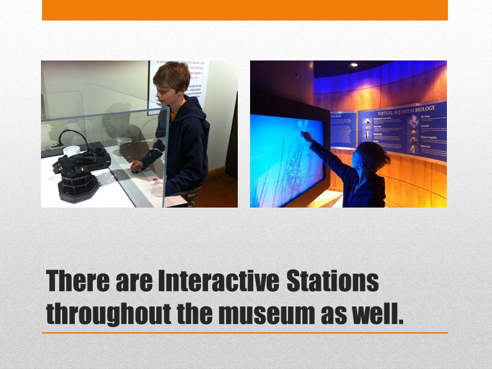 There are Interactive Stations throughout the museum as well.