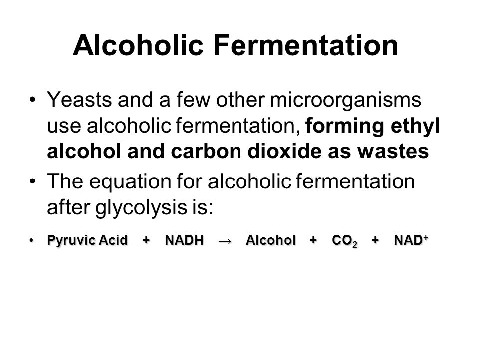 Equation For Fermentation Talkchannels Equation For Alcoholic Fermentation After Glycolysis Talkchannels