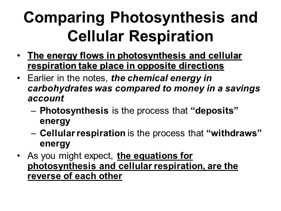 How Do The Equations Of Photosynthesis And Cellular Respiration 67 Comparing Photosynthesis And Cellular Respiration Chemical Pathways When You Are Hungry How Do Feel If