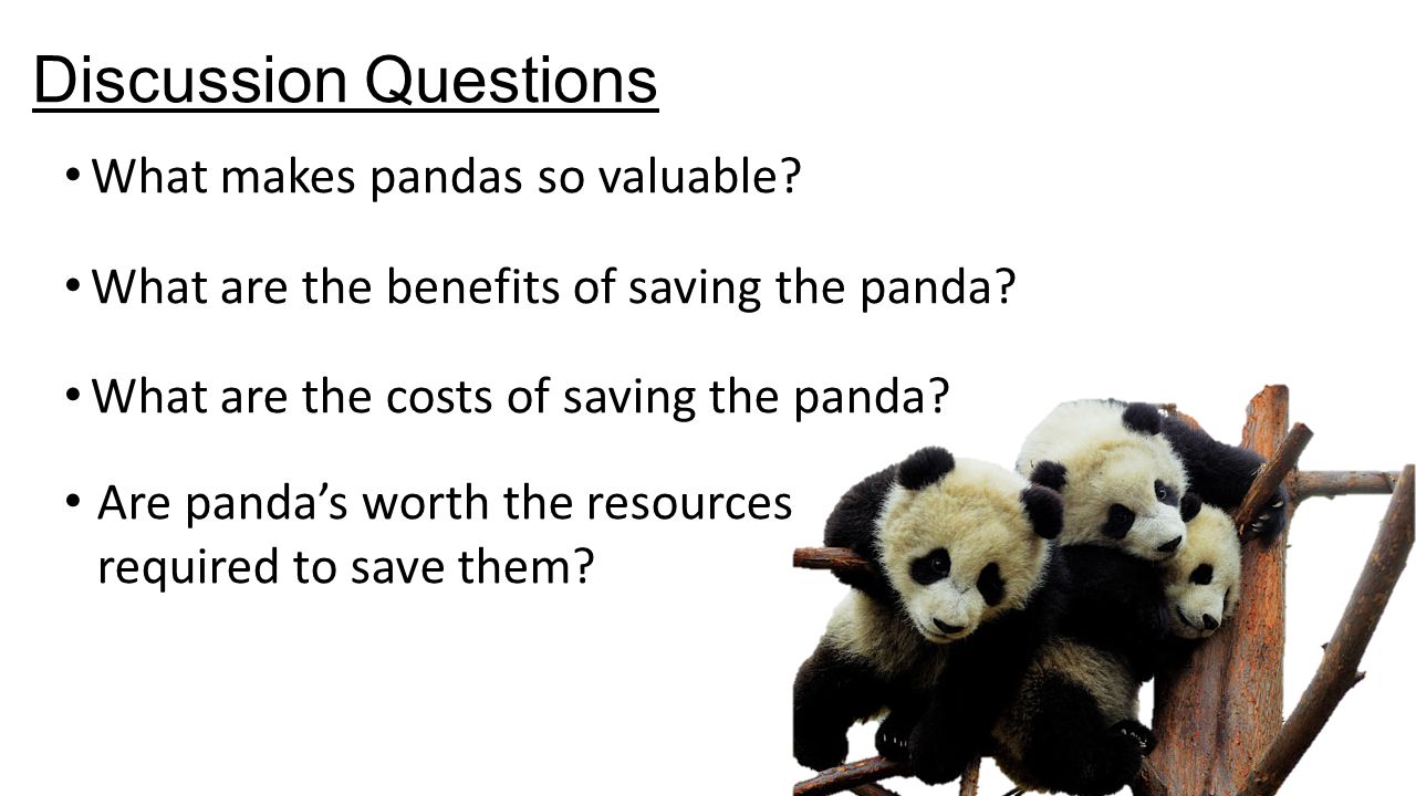 Discussion Questions What makes pandas so valuable.