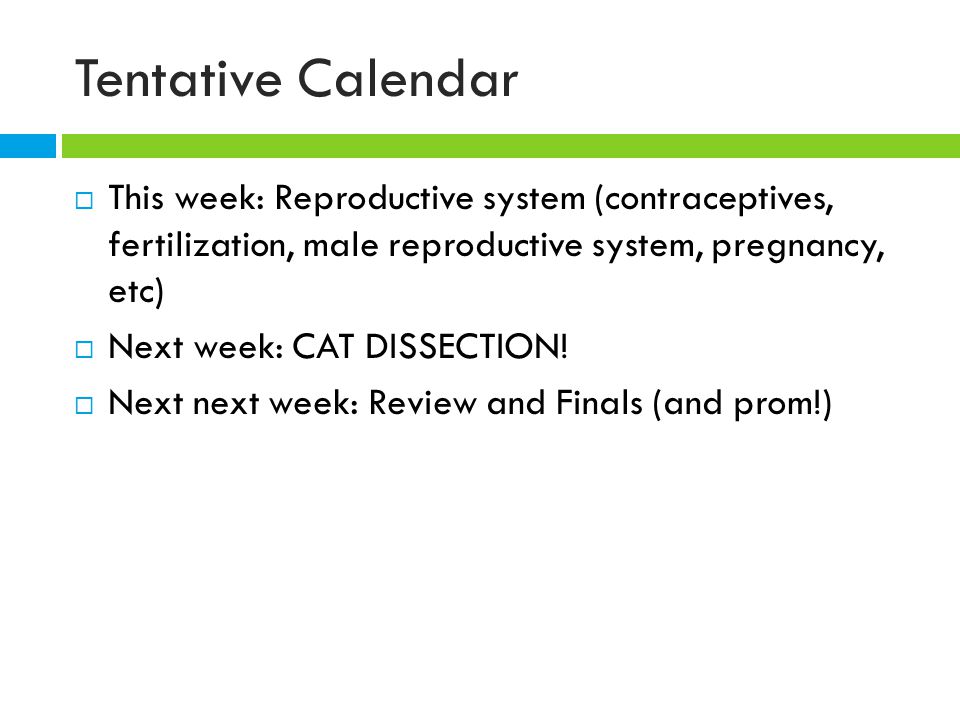 Tentative Calendar  This week: Reproductive system (contraceptives, fertilization, male reproductive system, pregnancy, etc)  Next week: CAT DISSECTION.