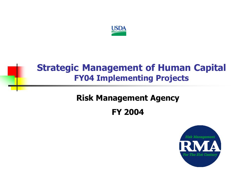 Strategic Management of Human Capital FY04 Implementing Projects Risk Management Agency FY 2004