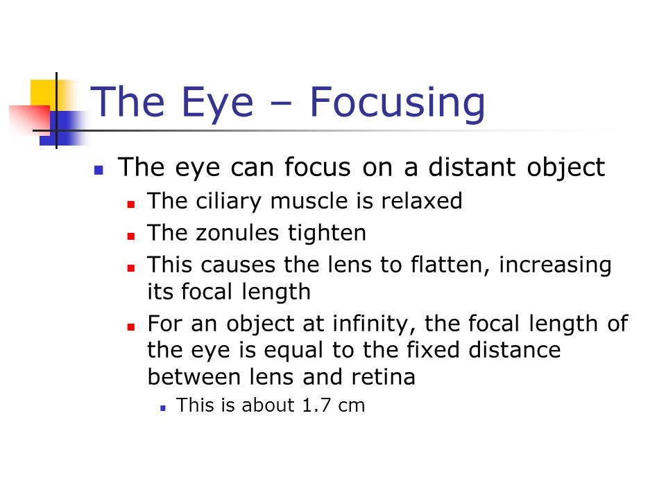 The Eye – Focusing The eye can focus on a distant object The ciliary muscle is relaxed The zonules tighten This causes the lens to flatten, increasing its focal length For an object at infinity, the focal length of the eye is equal to the fixed distance between lens and retina This is about 1.7 cm