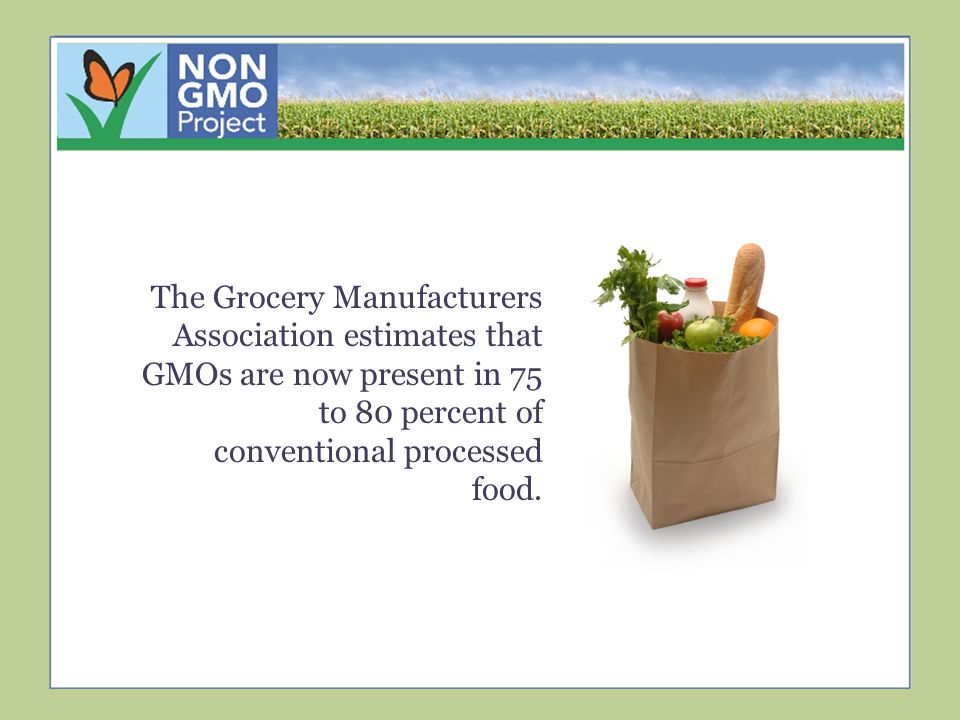 GMA Estimate The Grocery Manufacturers Association estimates that GMOs are now present in 75 to 80 percent of conventional processed food.