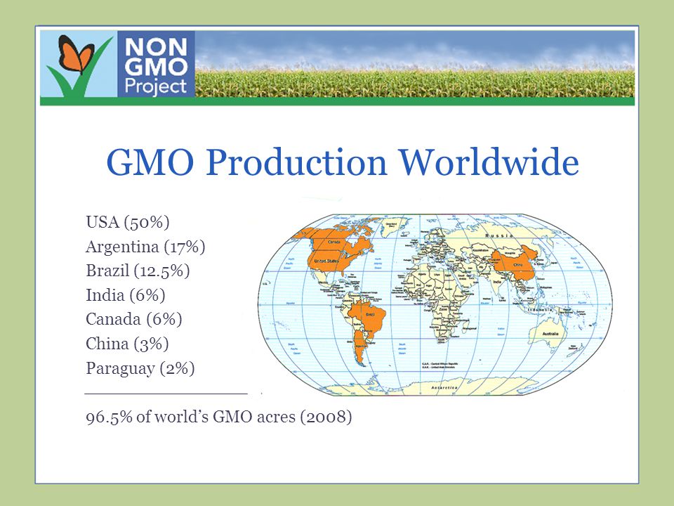 GMO Production Worldwide USA (50%) Argentina (17%) Brazil (12.5%) India (6%) Canada (6%) China (3%) Paraguay (2%) 96.5% of world’s GMO acres (2008) GMO Production Worldwide