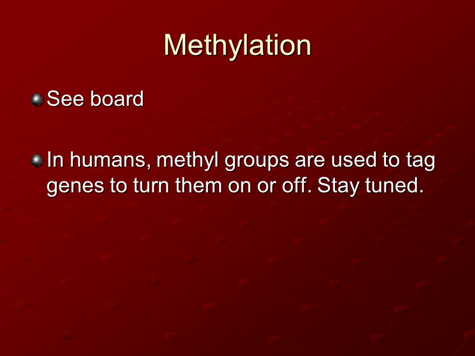 Methylation See board In humans, methyl groups are used to tag genes to turn them on or off.