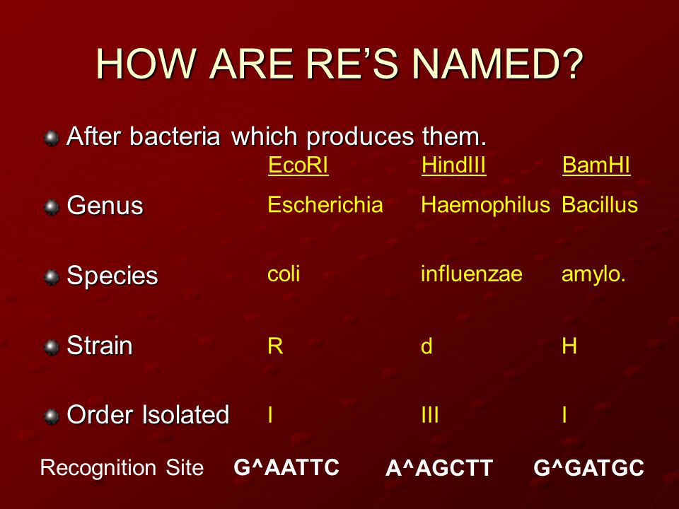 HOW ARE RE’S NAMED. After bacteria which produces them.