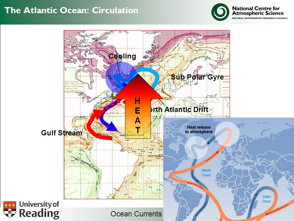 The Atlantic Ocean: Circulation Ocean Currents and Sea Ice from Atlas of World Maps Sub Polar Gyre Gulf Stream North Atlantic Drift Cooling HEATHEAT