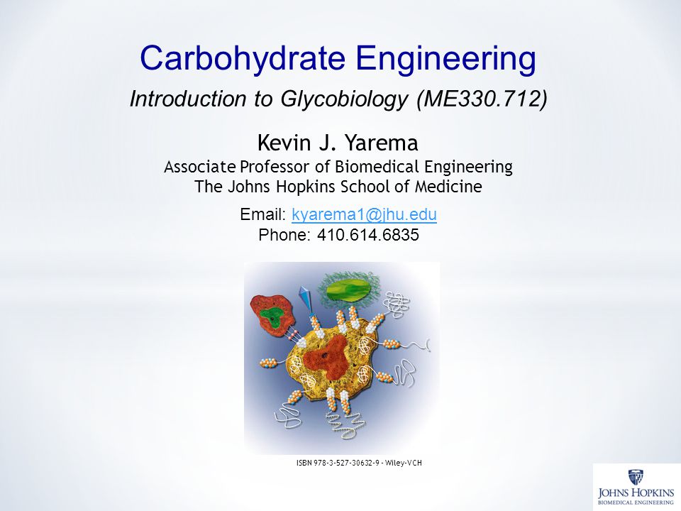 kevin j. yarema associate professor of biomedical engineering the kevin j. yarema associate professor of biomedical engineering the, Presentation templates