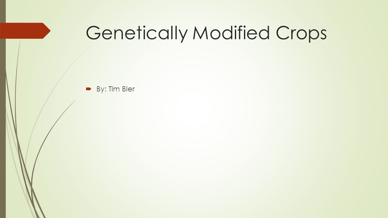 Genetically Modified Crops  By: Tim Bier