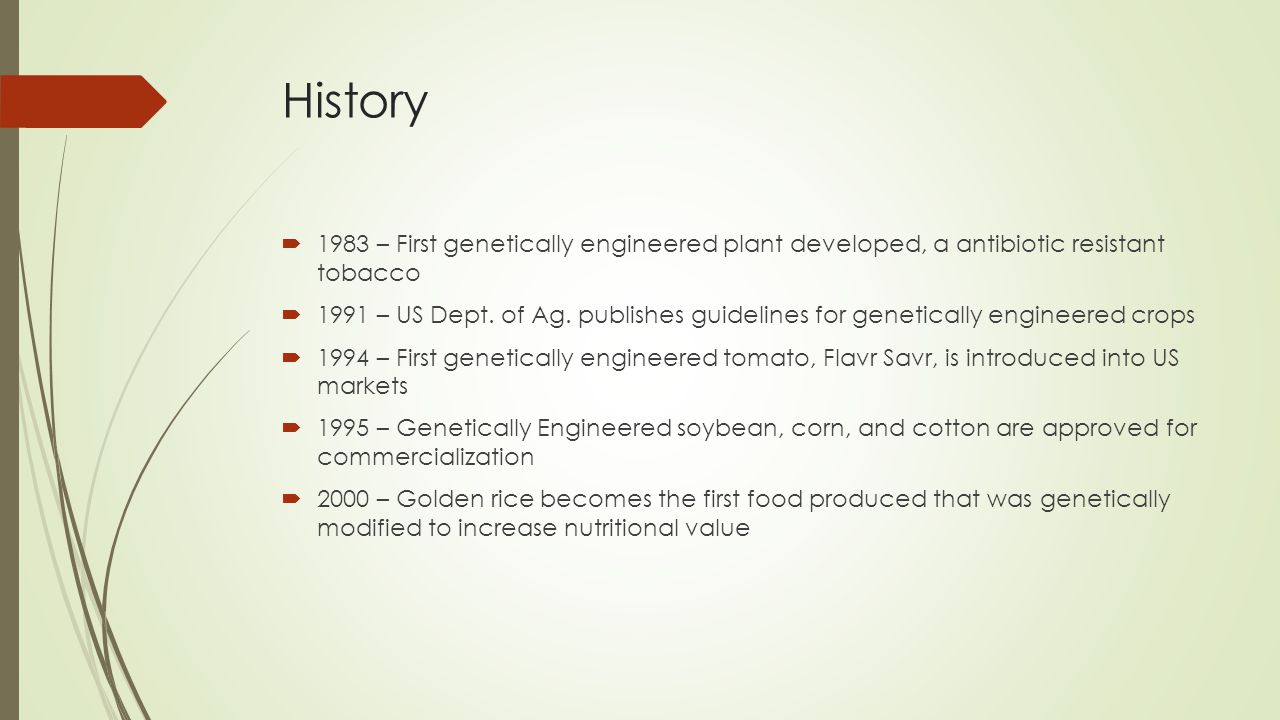 History  1983 – First genetically engineered plant developed, a antibiotic resistant tobacco  1991 – US Dept.