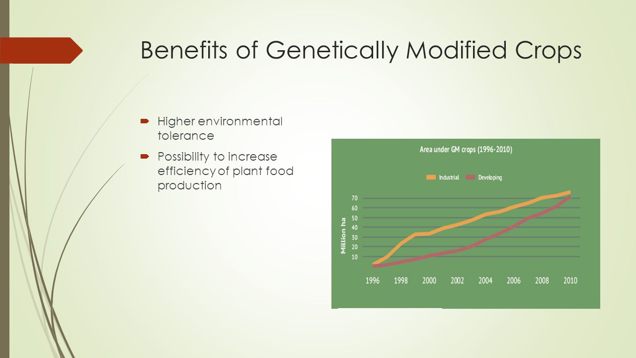 Benefits of Genetically Modified Crops  Higher environmental tolerance  Possibility to increase efficiency of plant food production