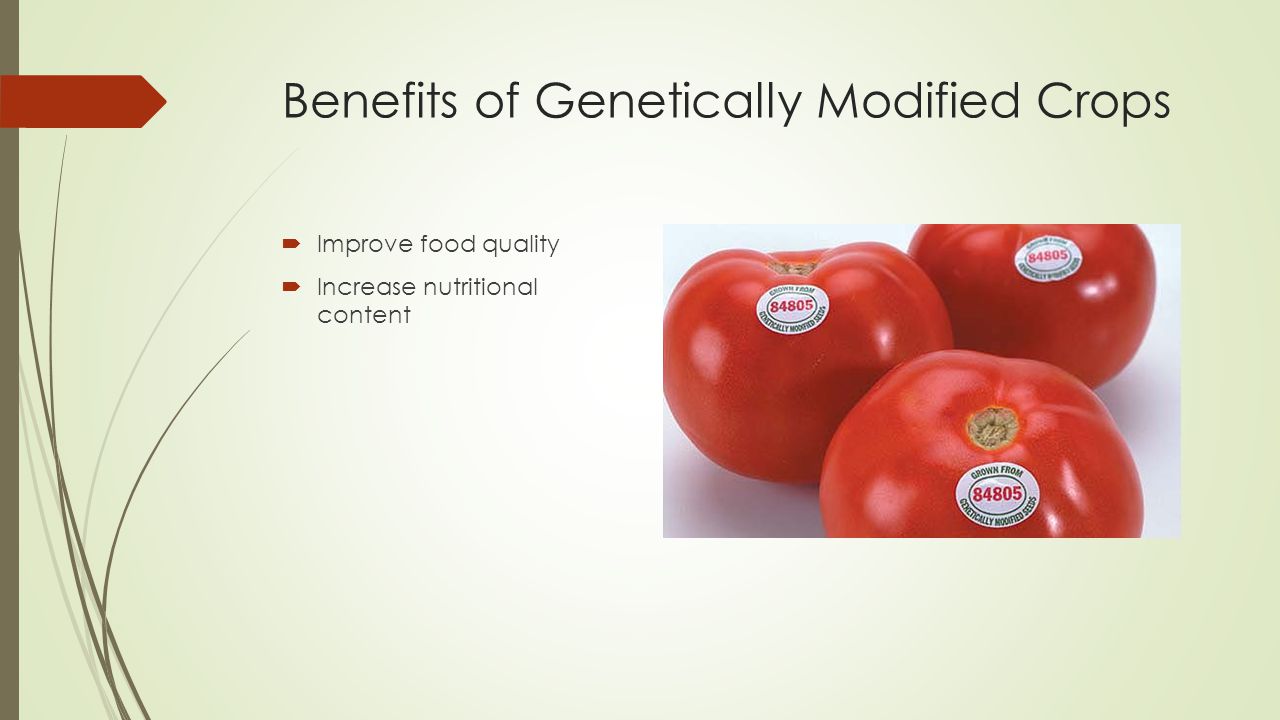 Benefits of Genetically Modified Crops  Improve food quality  Increase nutritional content