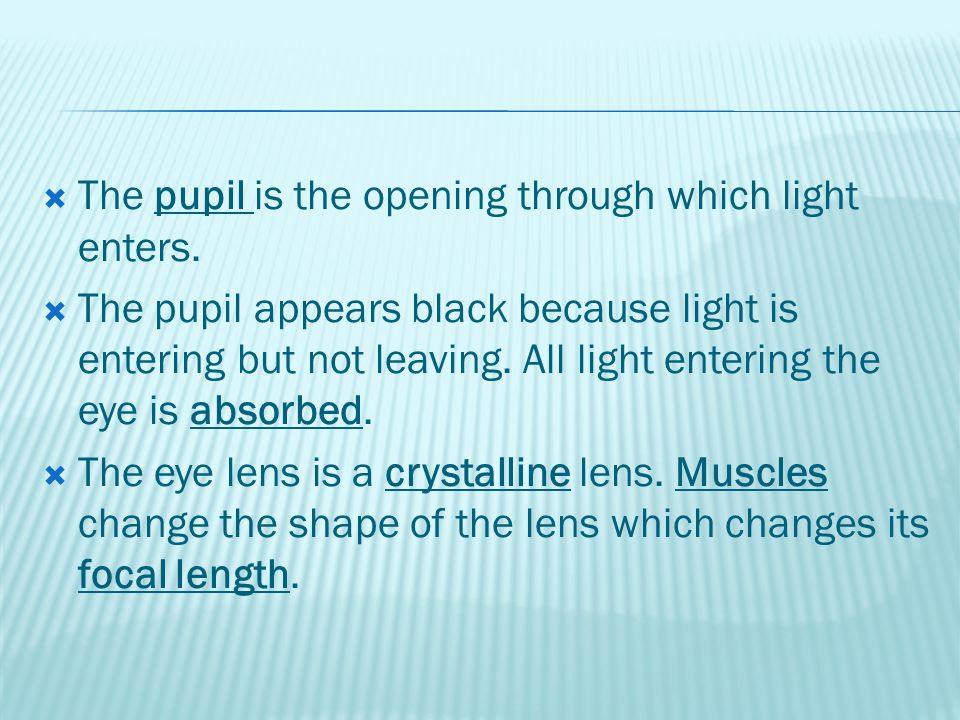  The pupil is the opening through which light enters.