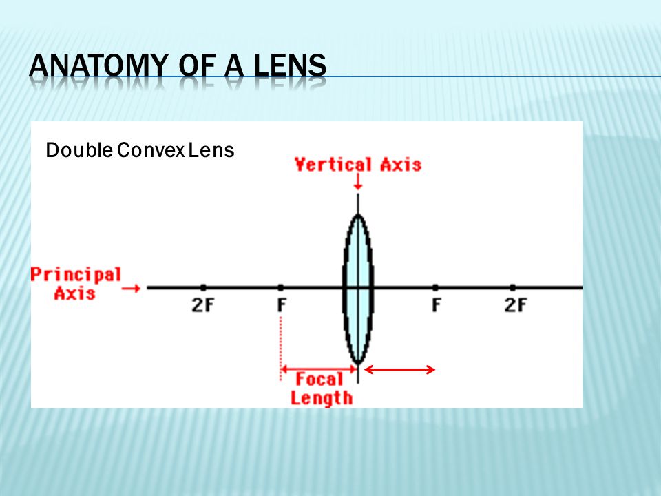 Double Convex Lens