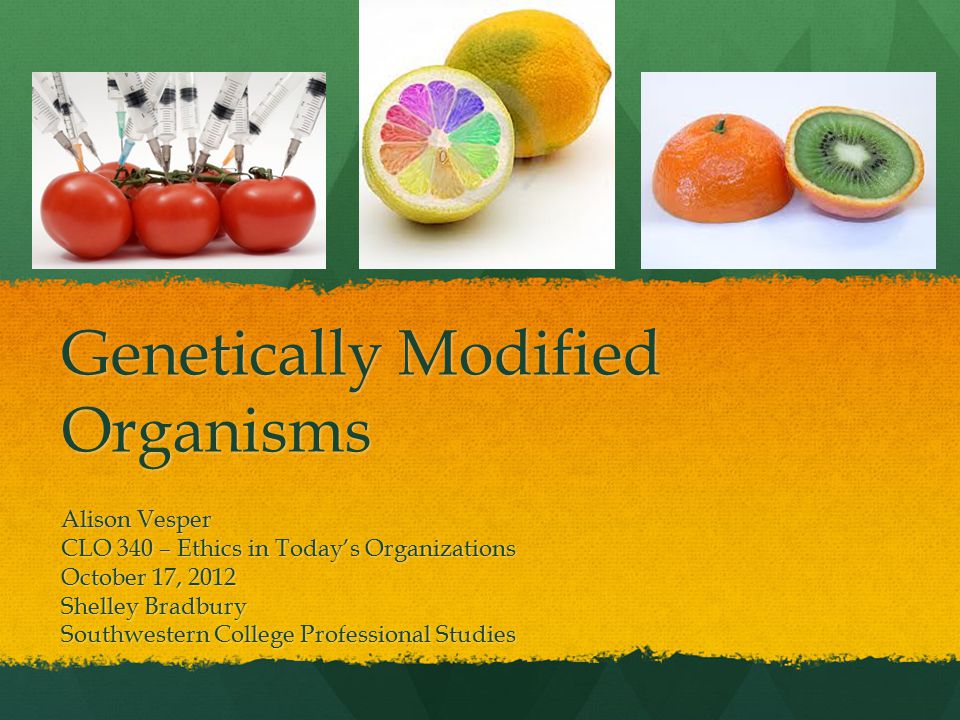 Genetically Modified Organisms Alison Vesper CLO 340 – Ethics in Today’s Organizations October 17, 2012 Shelley Bradbury Southwestern College Professional Studies