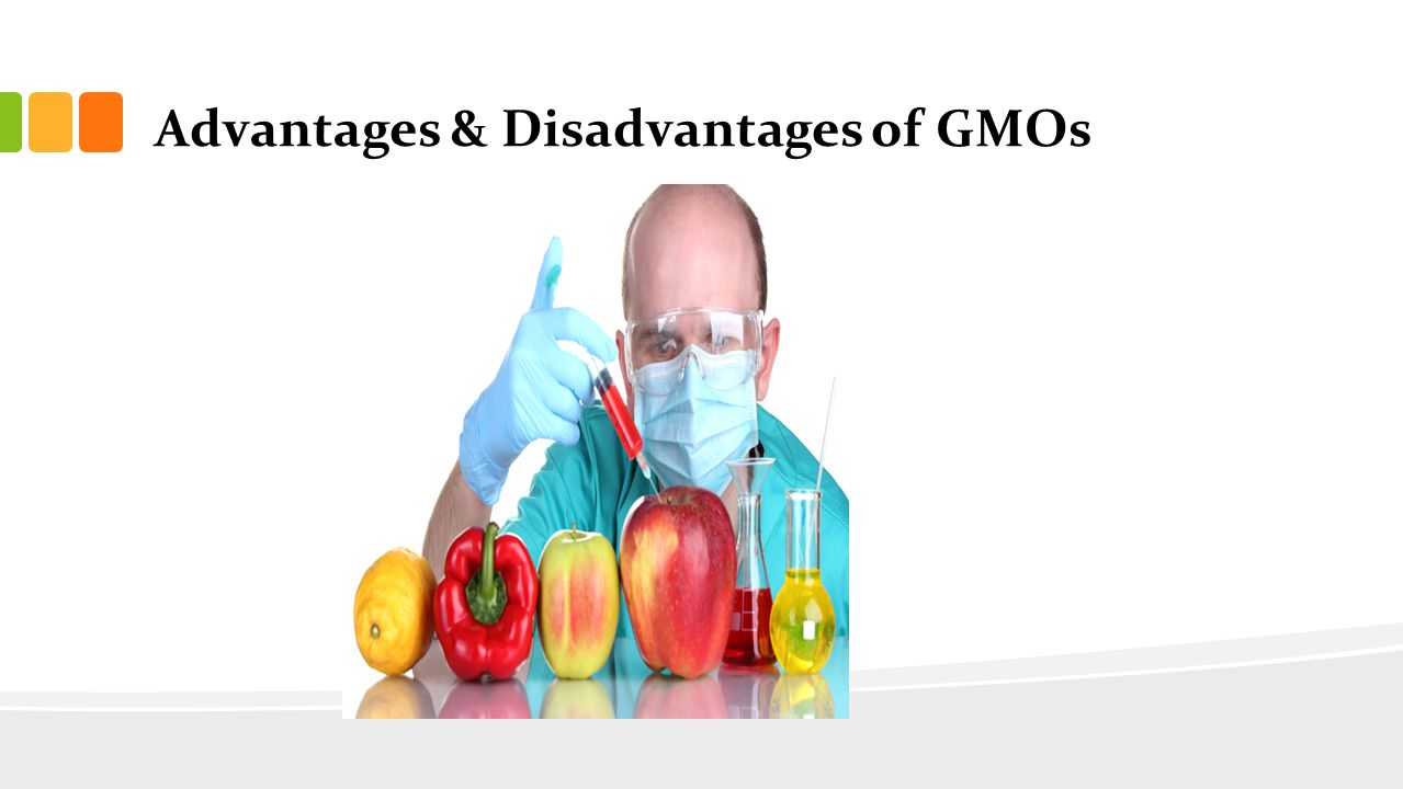 labeling of genetically modified food products essay Answer to this is an argument essay genetically modified their products , they should buy against potential risks of eating the foods labeling is consistent. labeling of genetically modified food products essay Answer to this is an argument essay genetically modified their products , they should buy against potential risks of eating the foods labeling is consistent.