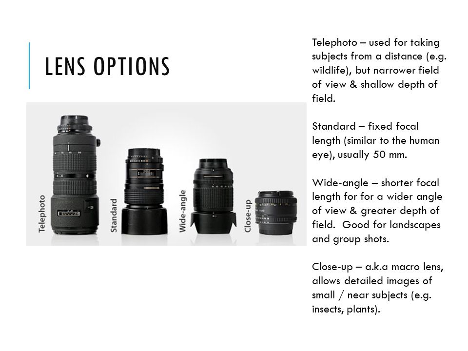 LENS OPTIONS Telephoto – used for taking subjects from a distance (e.g.