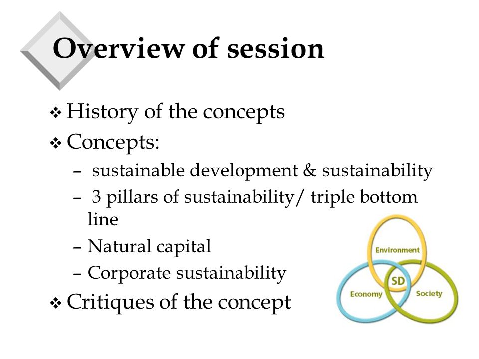 Overview of session v History of the concepts v Concepts: – sustainable development & sustainability – 3 pillars of sustainability/ triple bottom line –Natural capital –Corporate sustainability v Critiques of the concept