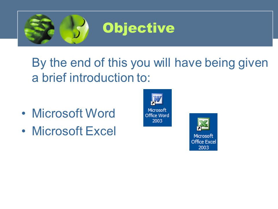 Objective By the end of this you will have being given a brief introduction to: Microsoft Word Microsoft Excel