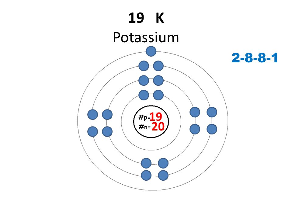 19 K Potassium