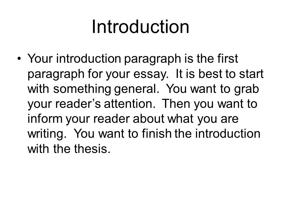 opening paragraph for an essay