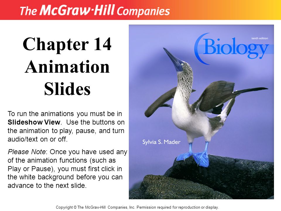 Copyright © The McGraw-Hill Companies, Inc. Permission required for reproduction or display.
