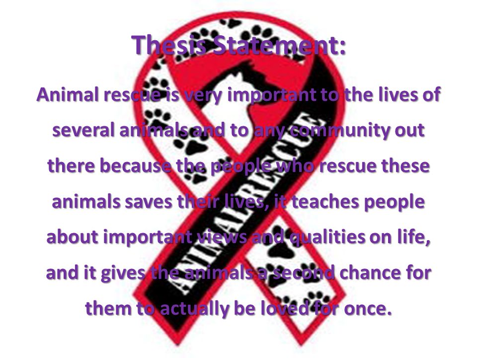 strong thesis statement for animal testing strong thesis statement for animal testing