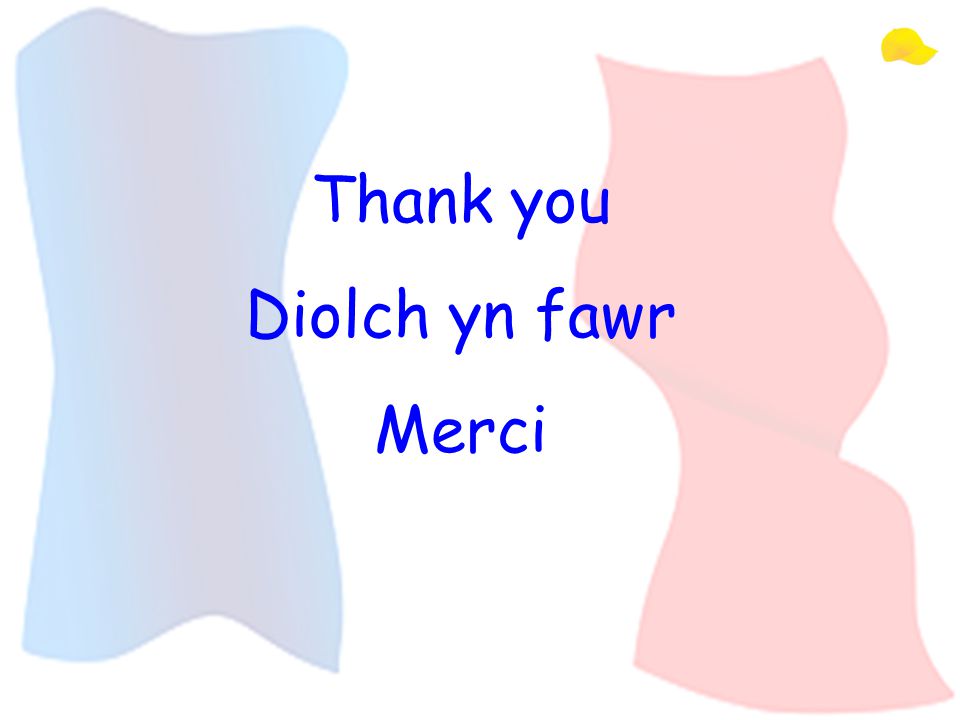 Thank you Diolch yn fawr Merci