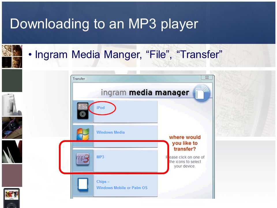 Downloading to an MP3 player Ingram Media Manger, File , Transfer