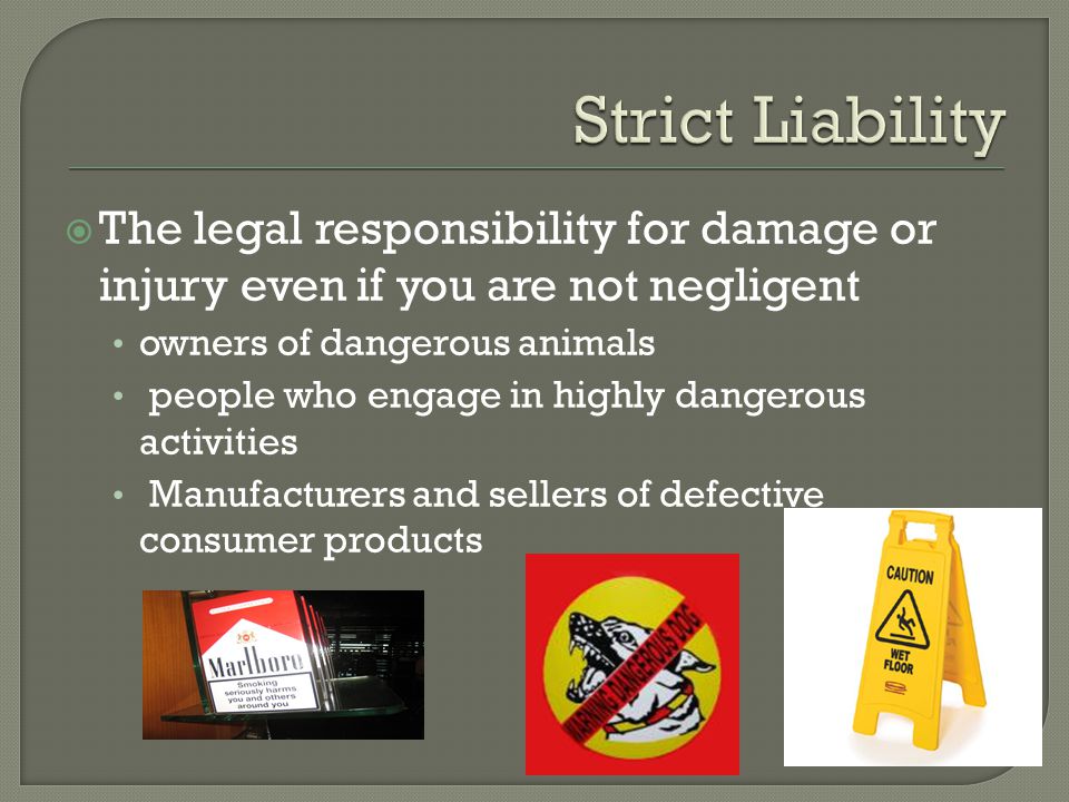  The legal responsibility for damage or injury even if you are not negligent owners of dangerous animals people who engage in highly dangerous activities Manufacturers and sellers of defective consumer products