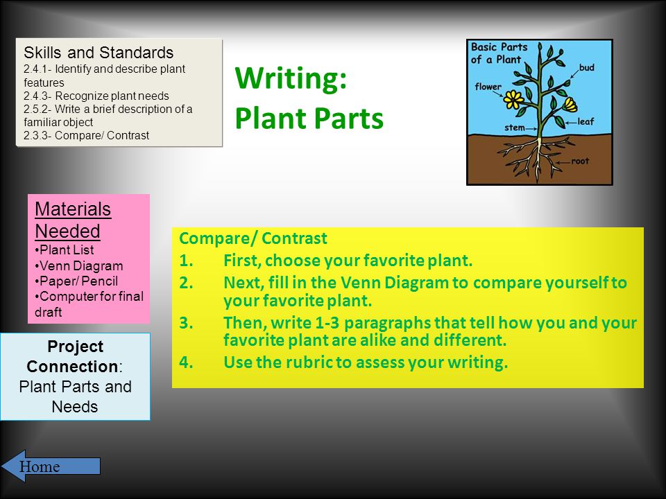 Writing: Plant Parts Compare/ Contrast 1.First, choose your favorite plant.
