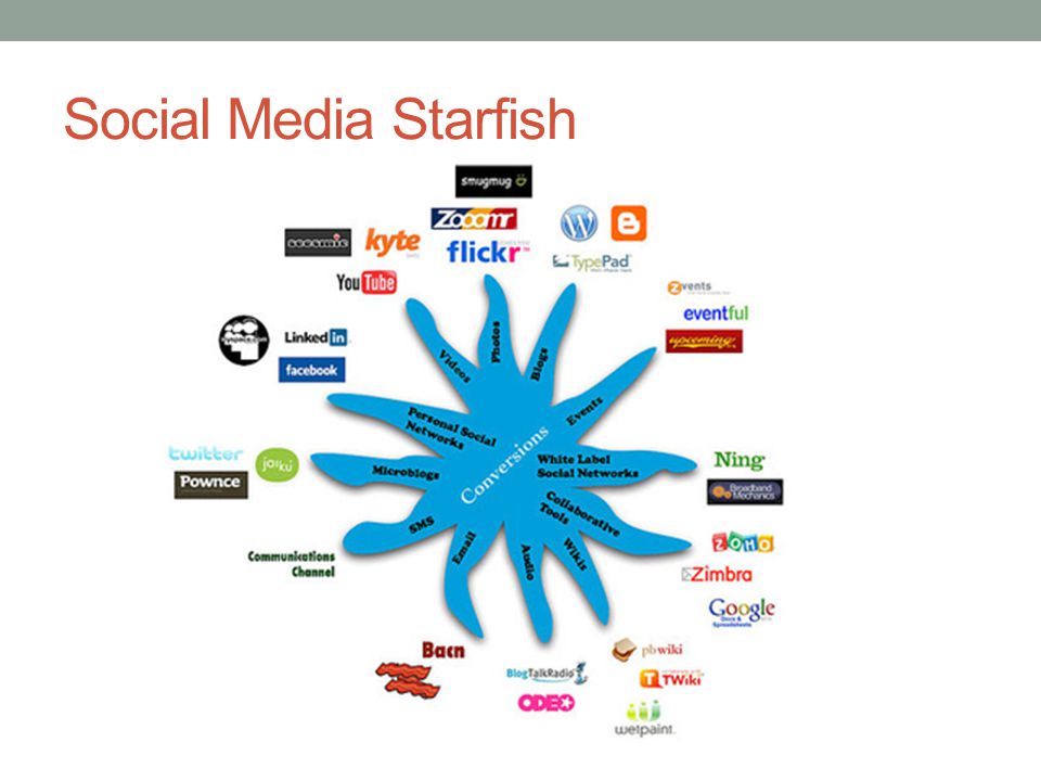 Social Media Starfish