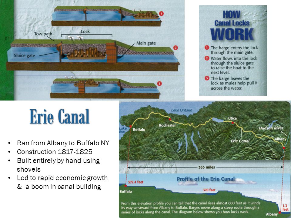 Ran from Albany to Buffalo NY Construction Built entirely by hand using shovels Led to rapid economic growth & a boom in canal building