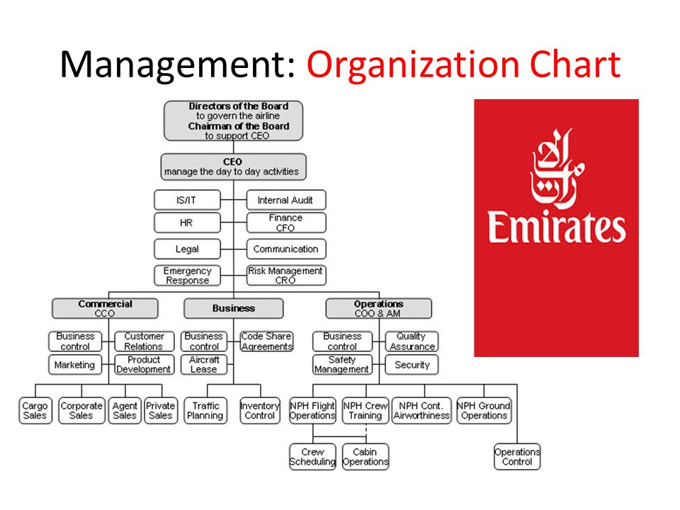 Management: Organization Chart