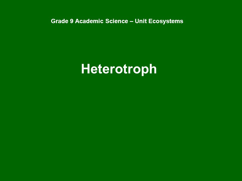 grade 9 acadeic science study notes The ontario curriculum: secondary grade 9 grade 9, applied to academic, 2006 pdf format science, grades 9 and 10 (revised. grade 9 acadeic science study notes The ontario curriculum: secondary grade 9 grade 9, applied to academic, 2006 pdf format science, grades 9 and 10 (revised.
