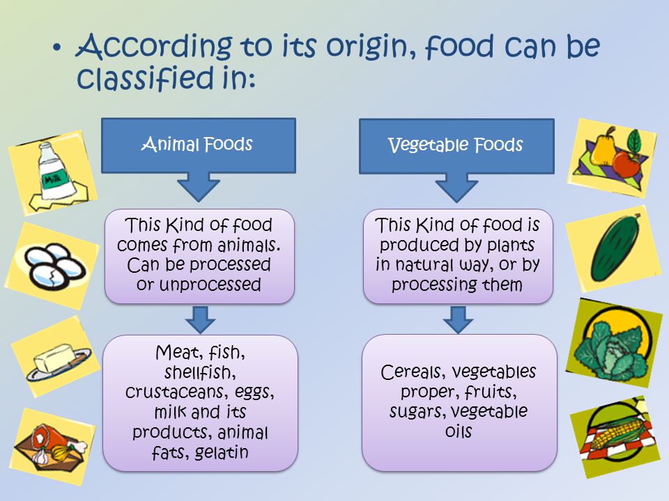 According to its origin, food can be classified in: Animal Foods Vegetable Foods This Kind of food comes from animals.