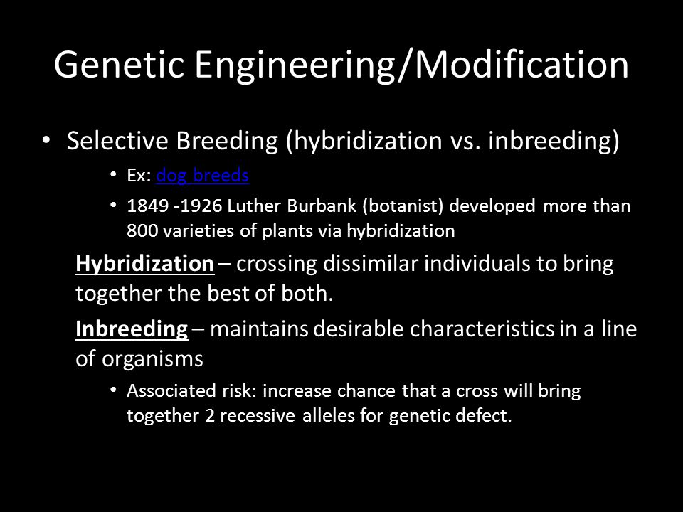 Genetic Engineering/Modification Selective Breeding (hybridization vs.