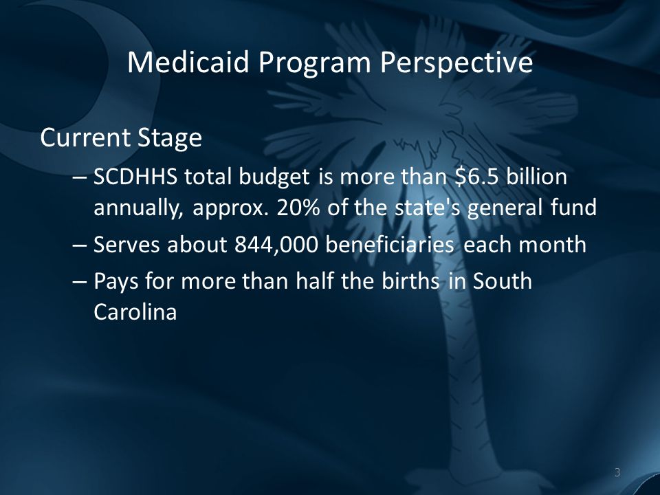 south carolina department of health and human services rural scdhhs annual review form