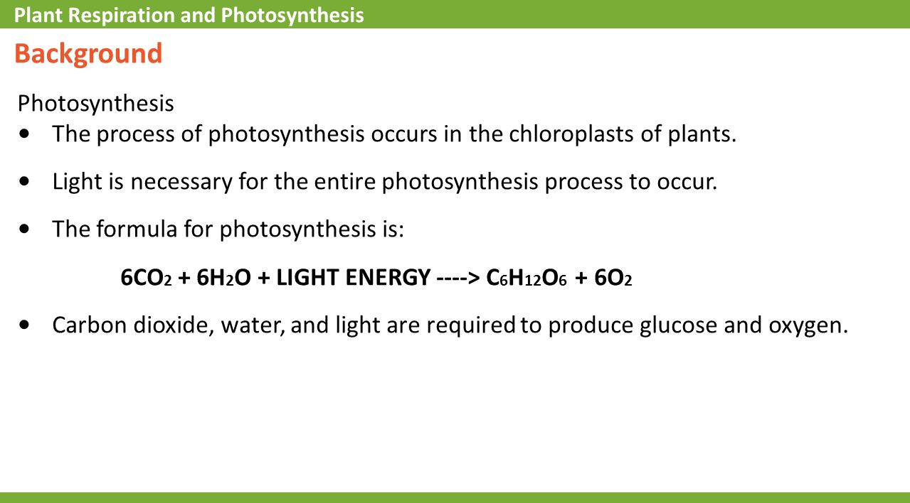 formula for photsynthesis Free photosynthesis process review study chloroplasts, the chemical equation, chlorophyll and the light and dark stages of photosynthesis. formula for photsynthesis Free photosynthesis process review study chloroplasts, the chemical equation, chlorophyll and the light and dark stages of photosynthesis.