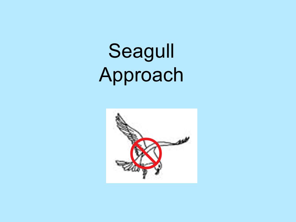  Seagull Approach